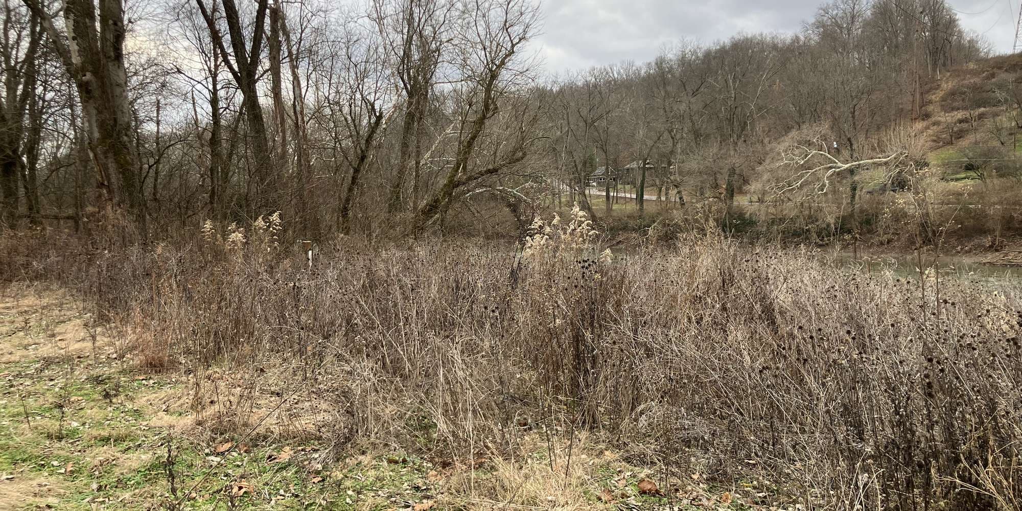 Second image to compare