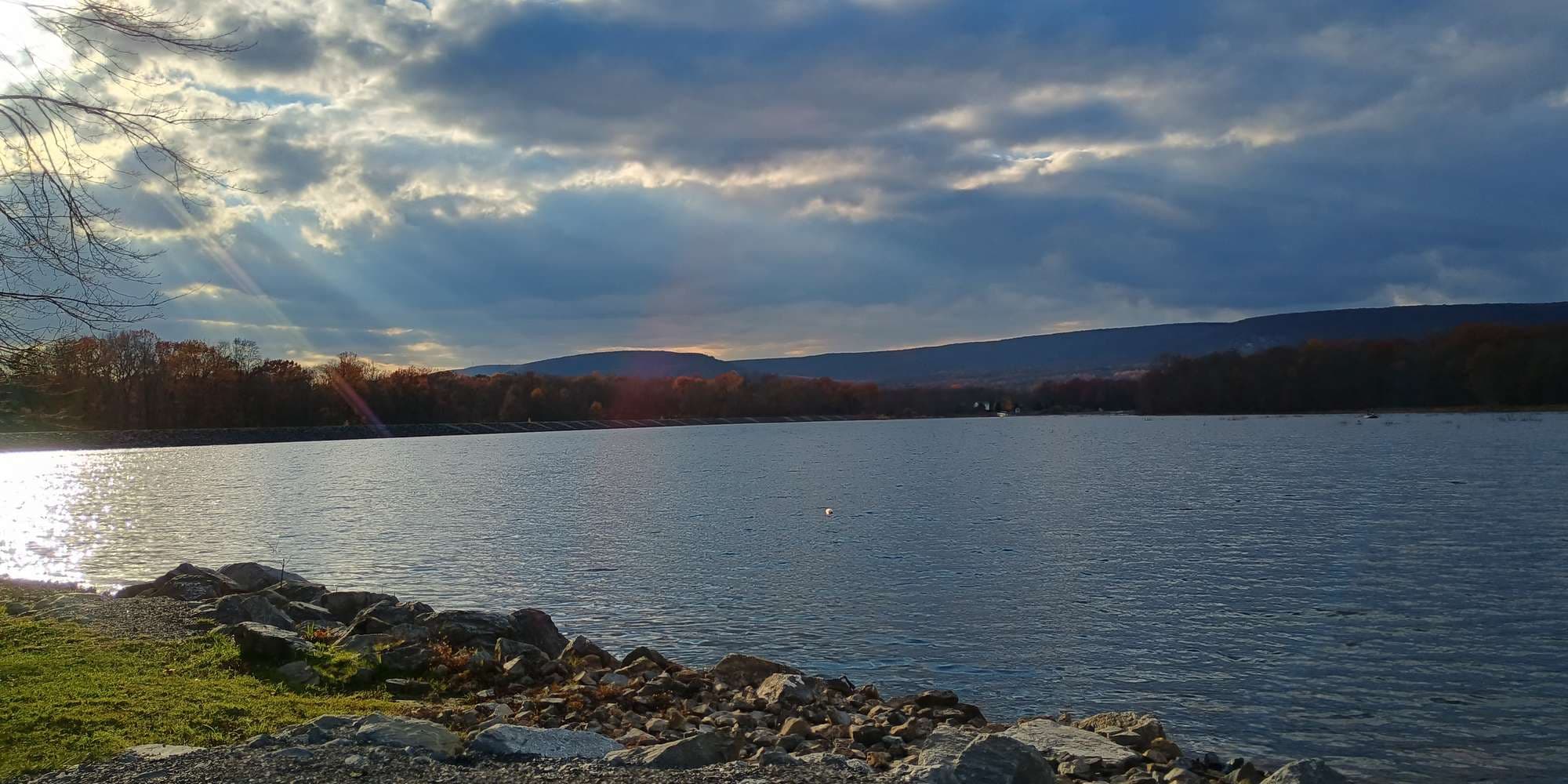 Second image to compare