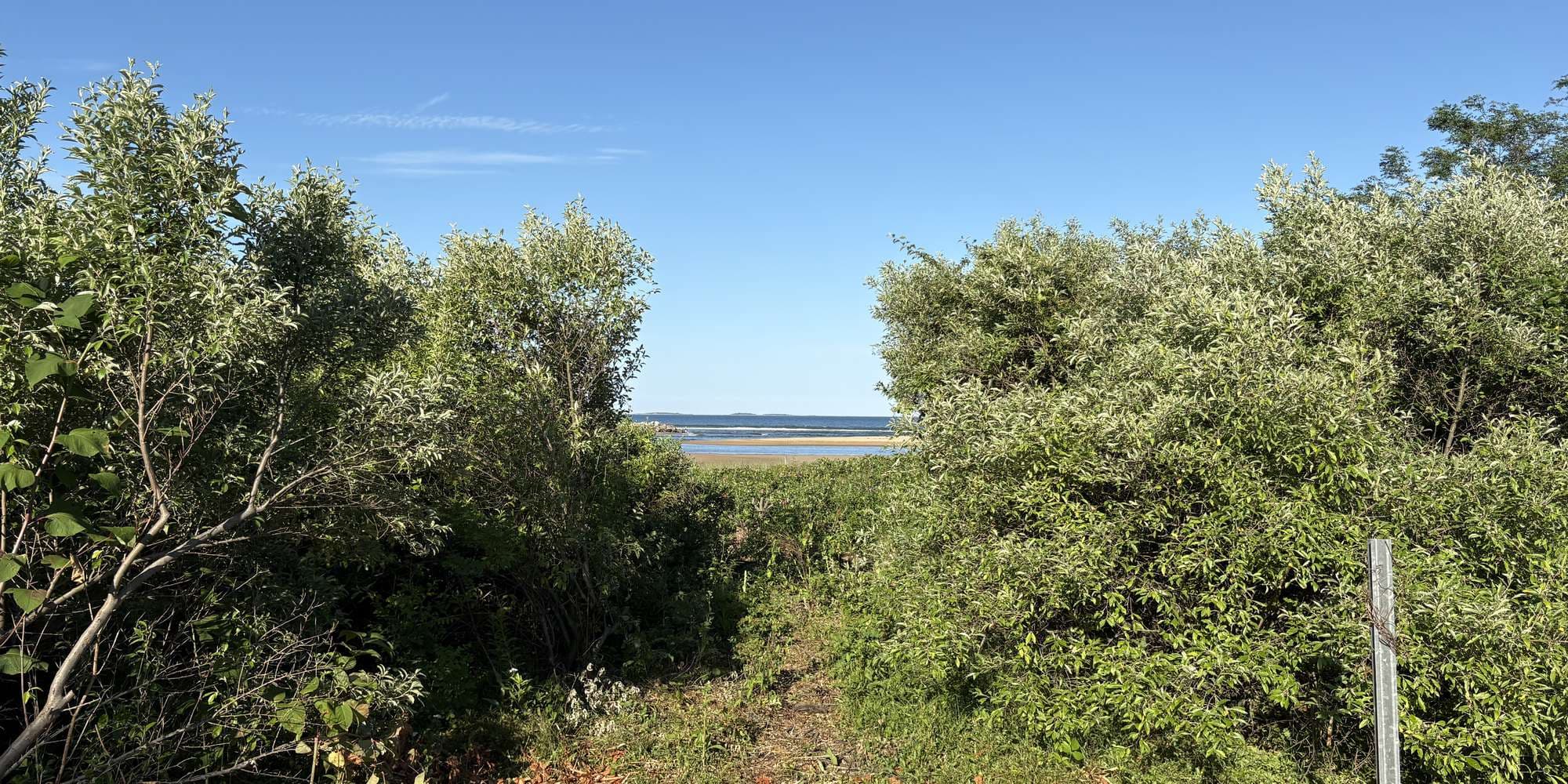 Second image to compare