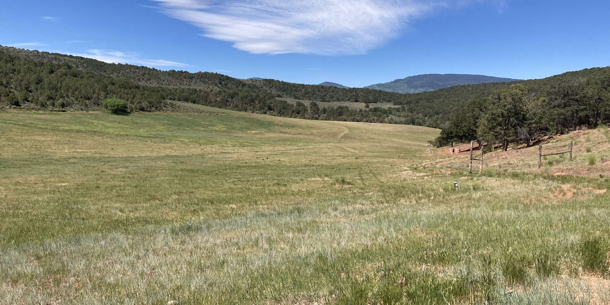 First image to compare