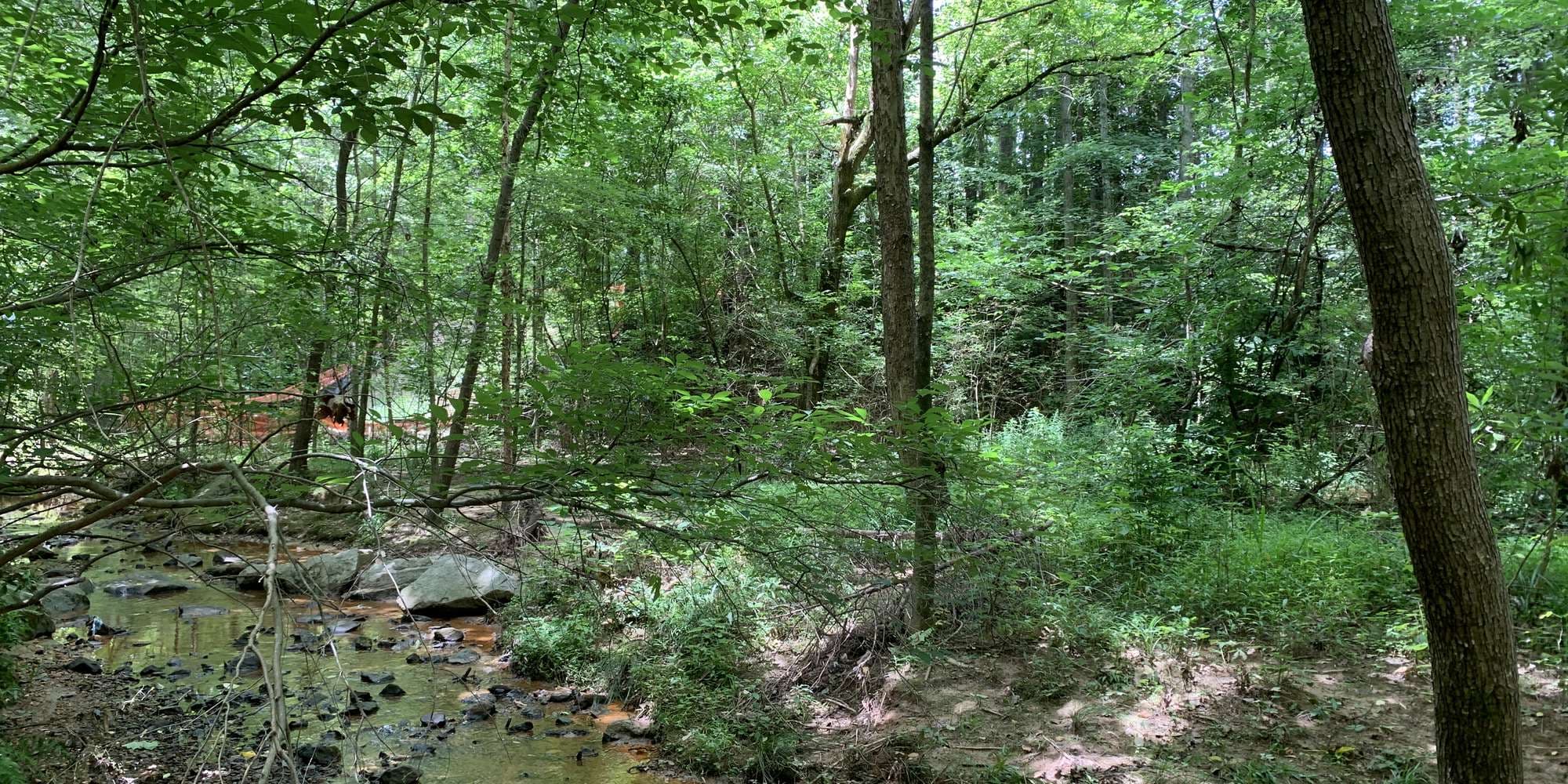 First image to compare