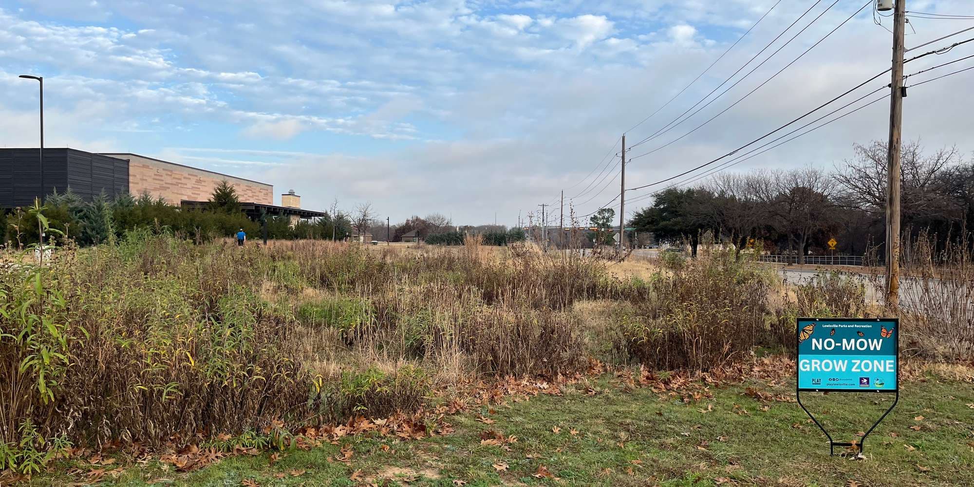 Second image to compare