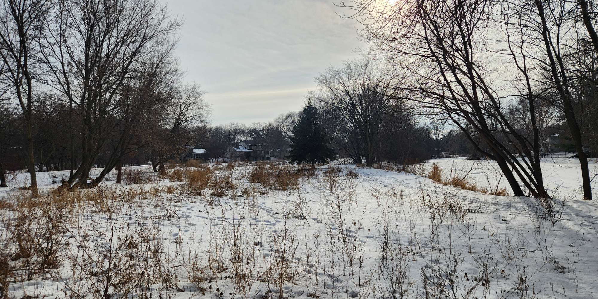 Second image to compare