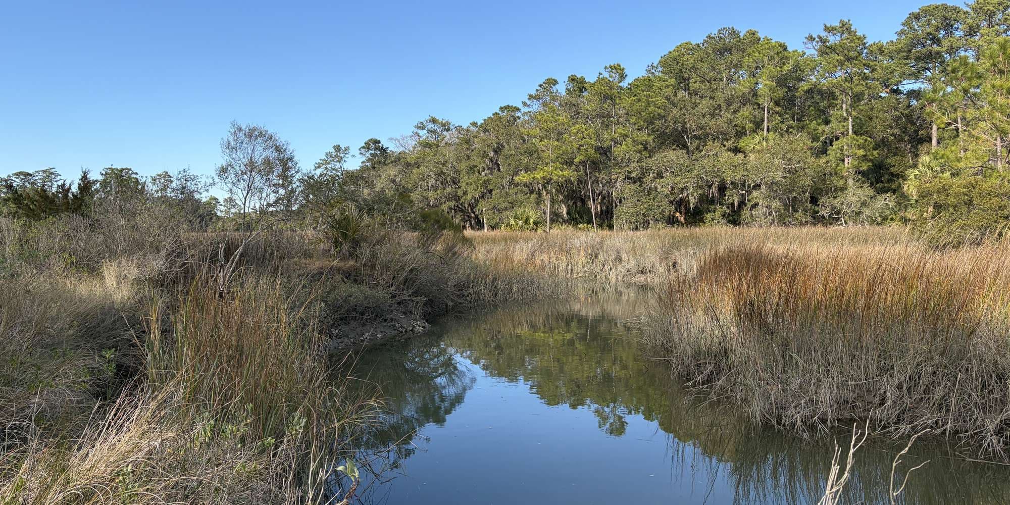 Second image to compare