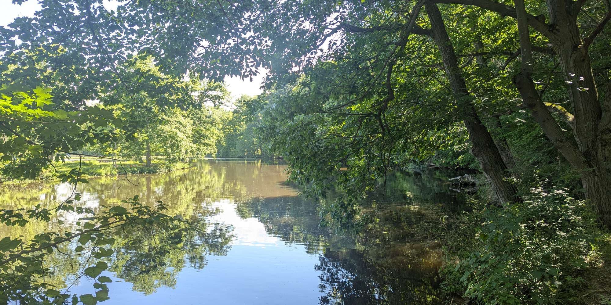 First image to compare