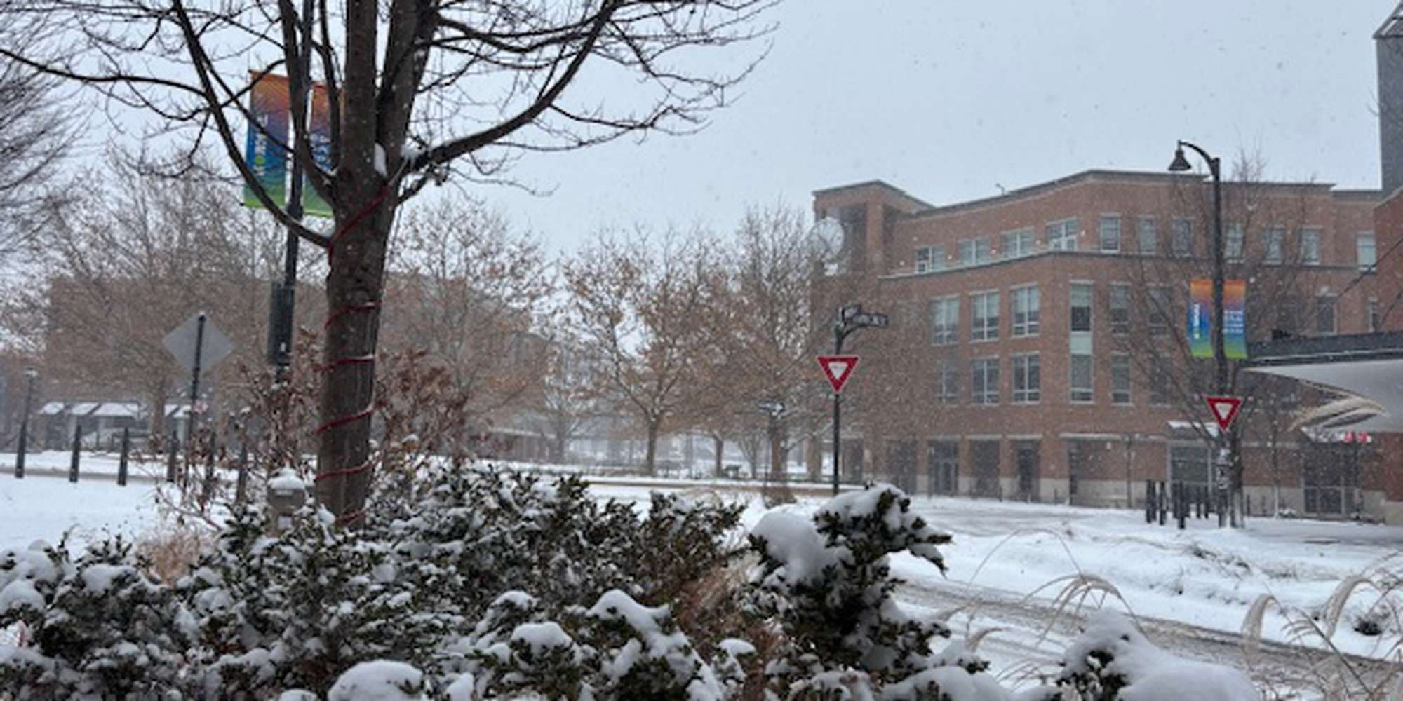 Second image to compare