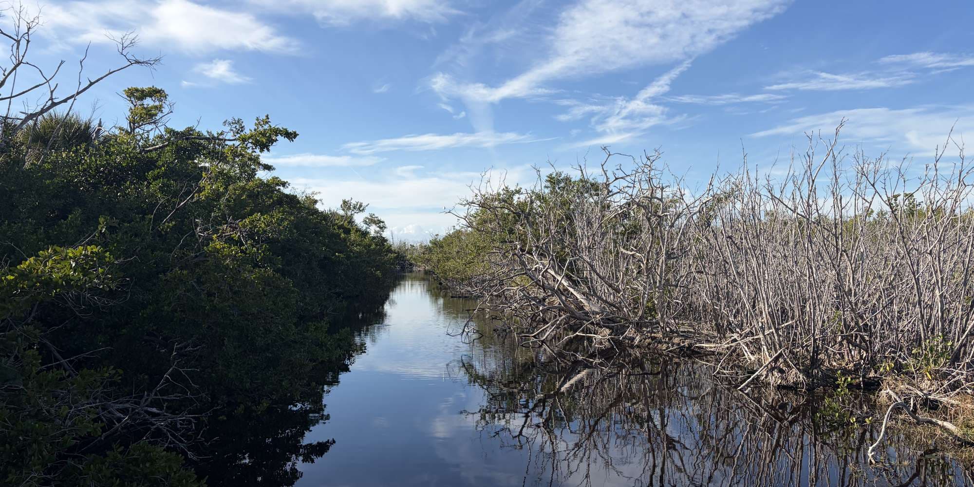 Second image to compare