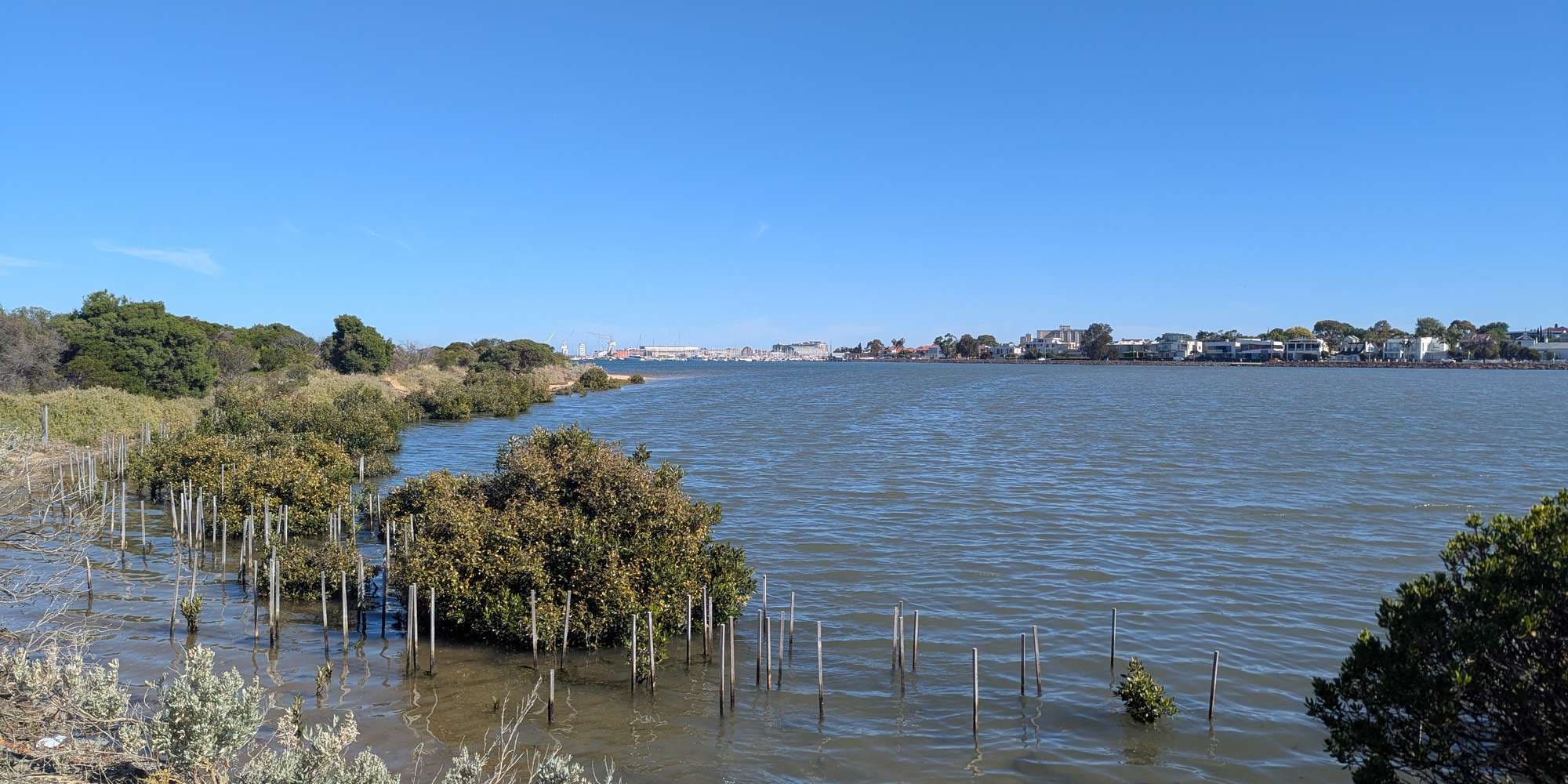 Second image to compare