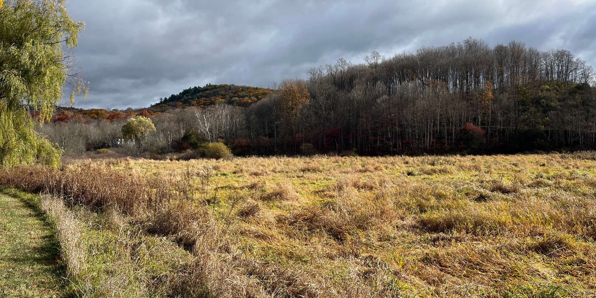 Second image to compare