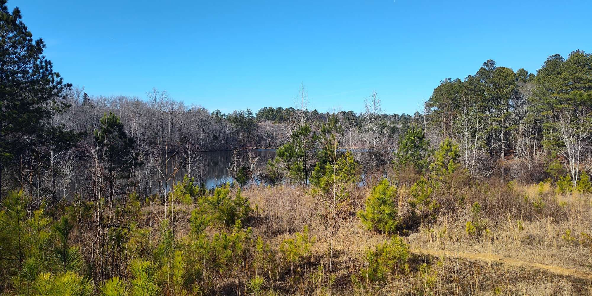 Second image to compare