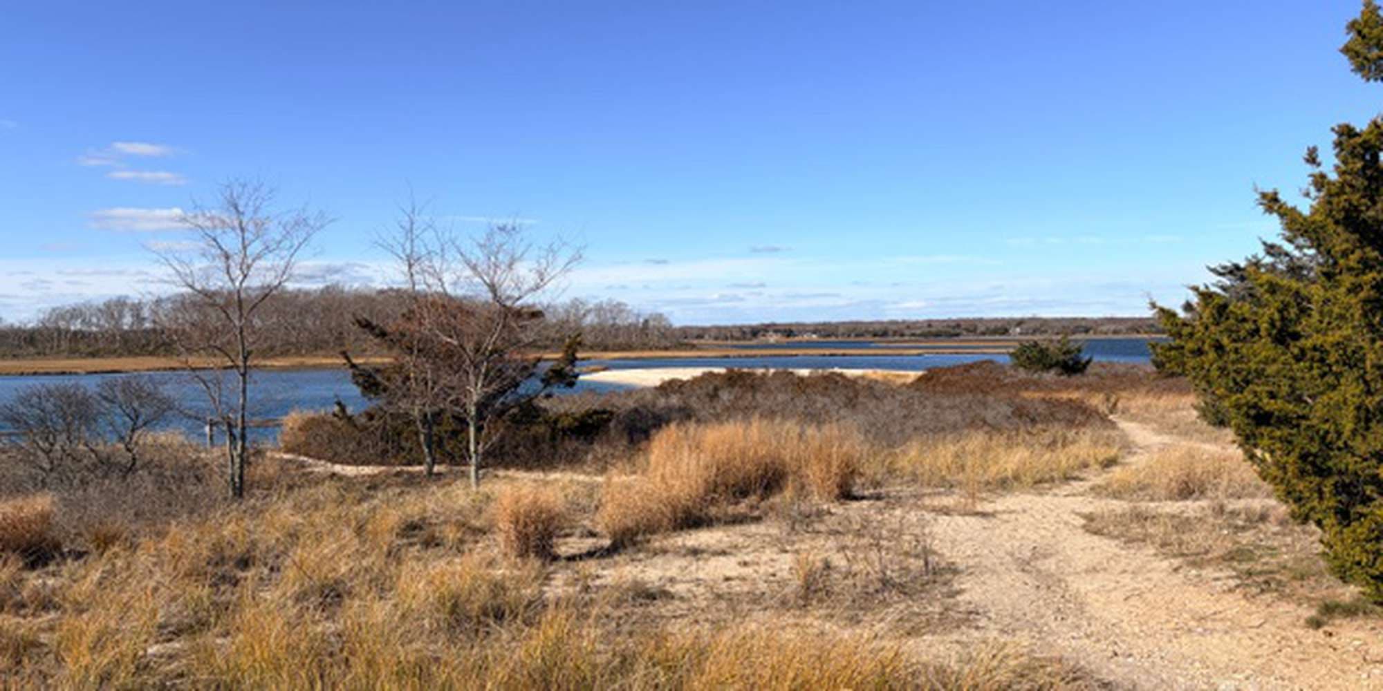 Second image to compare