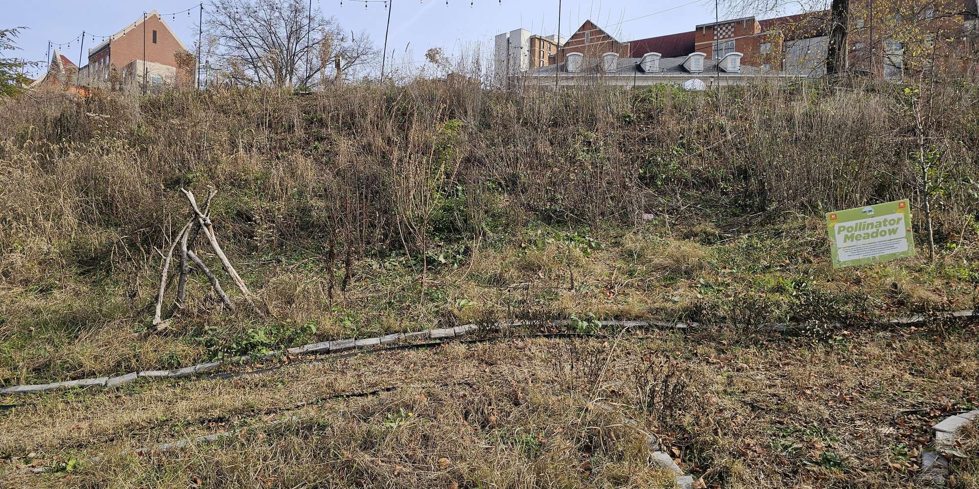 Second image to compare