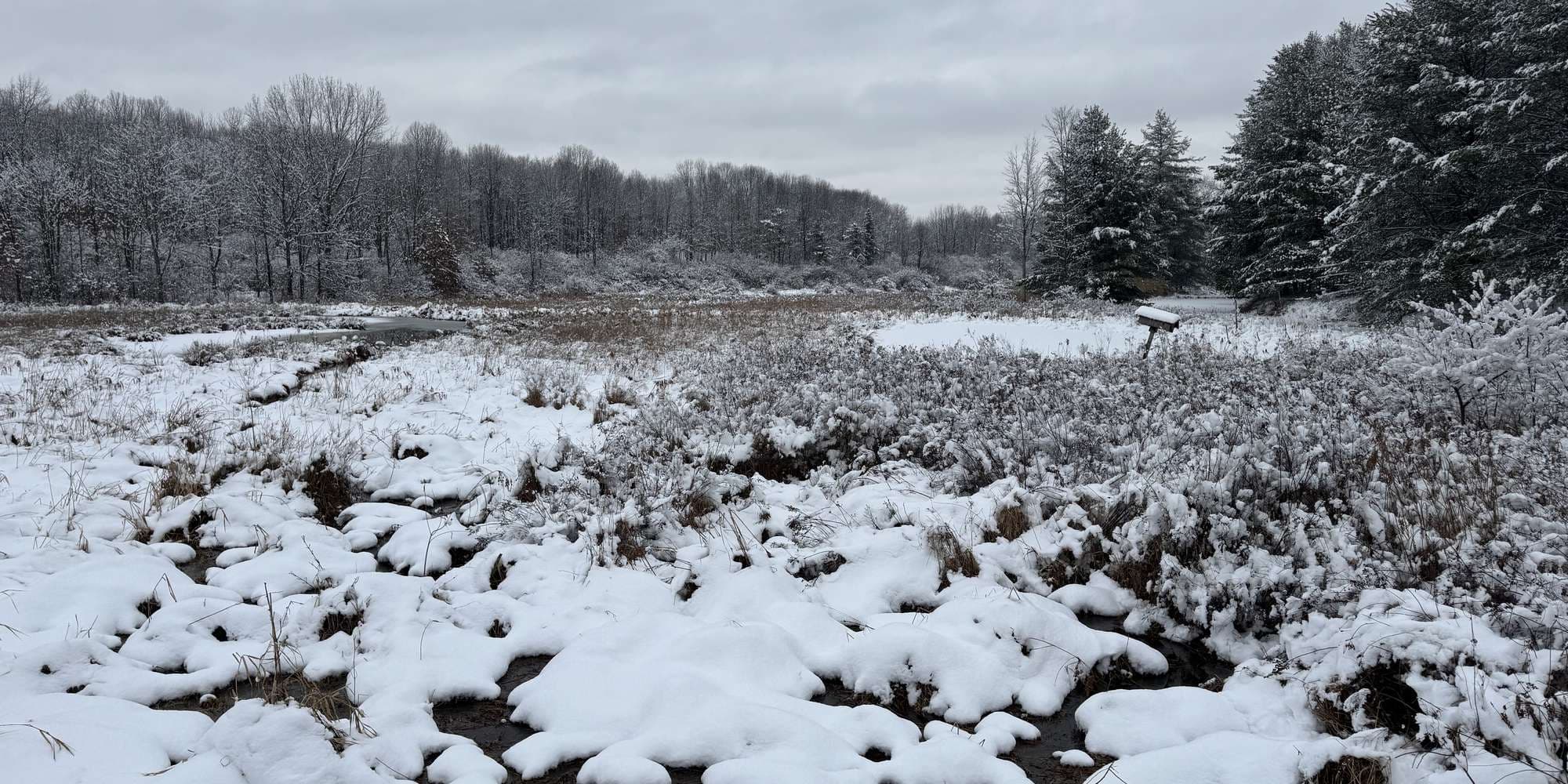 Second image to compare