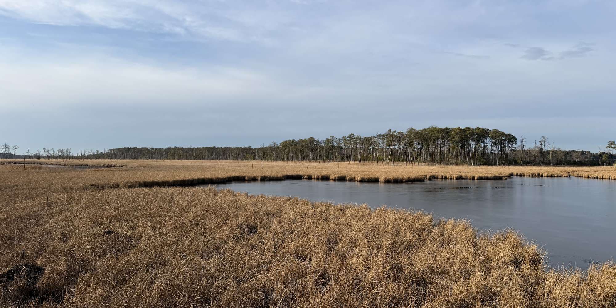 Second image to compare