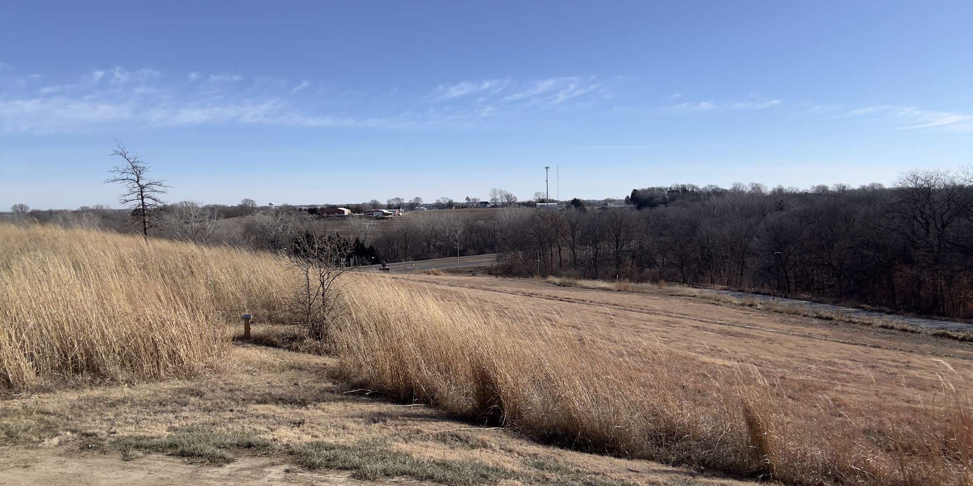 Second image to compare