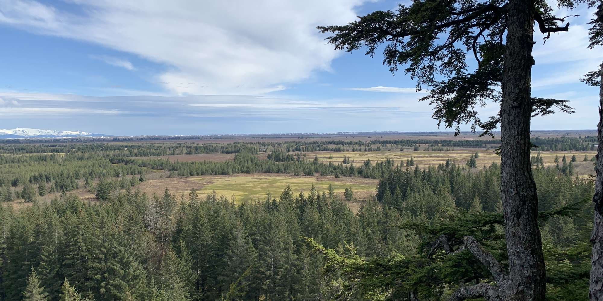 First image to compare