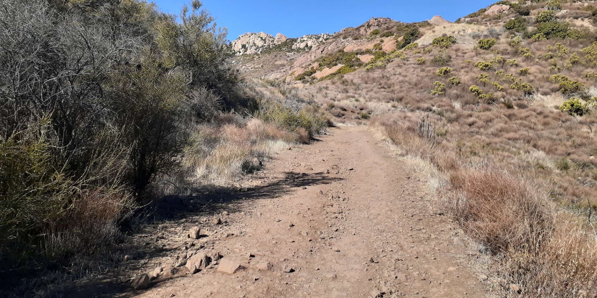 Second image to compare