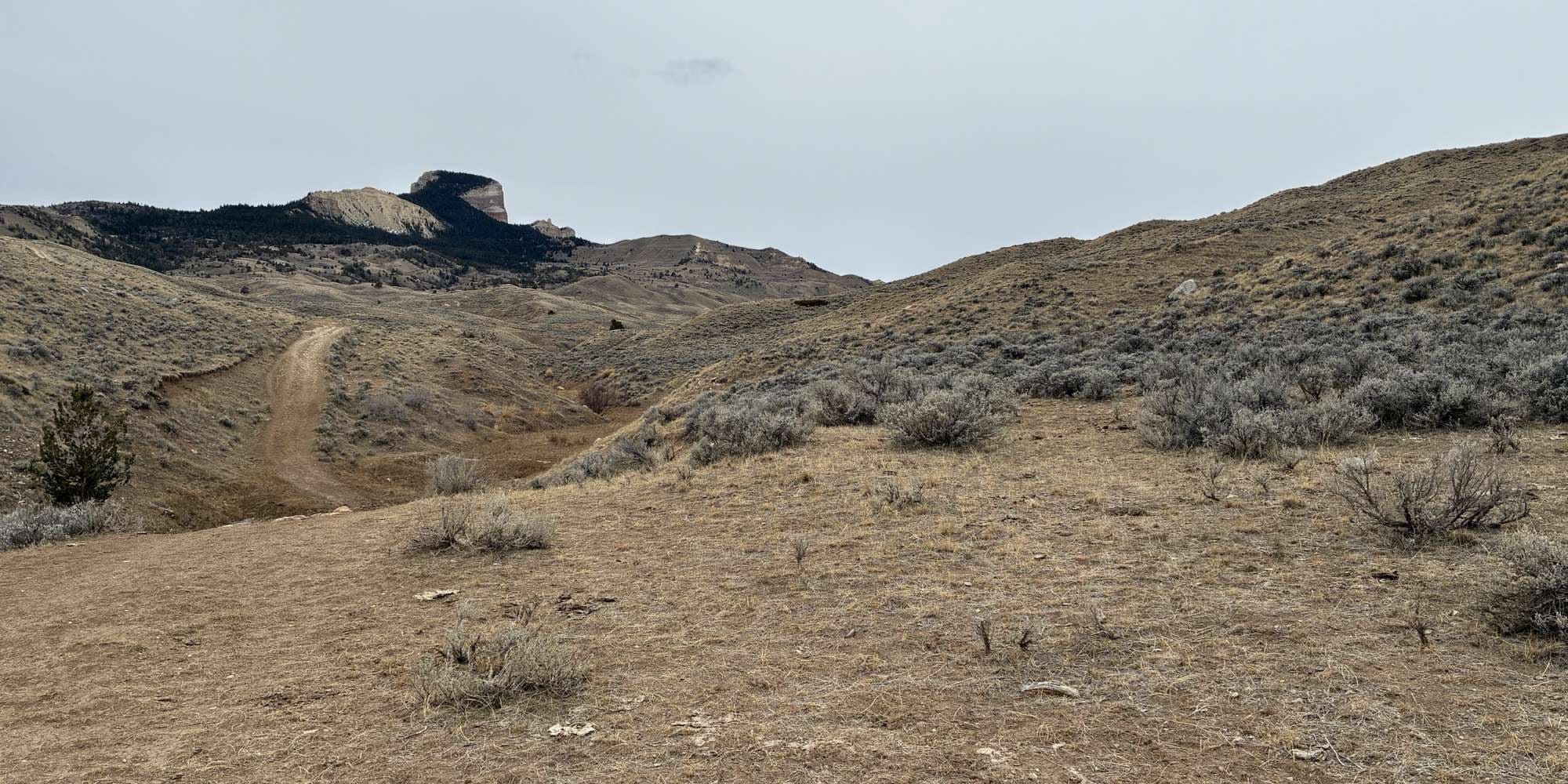 Second image to compare