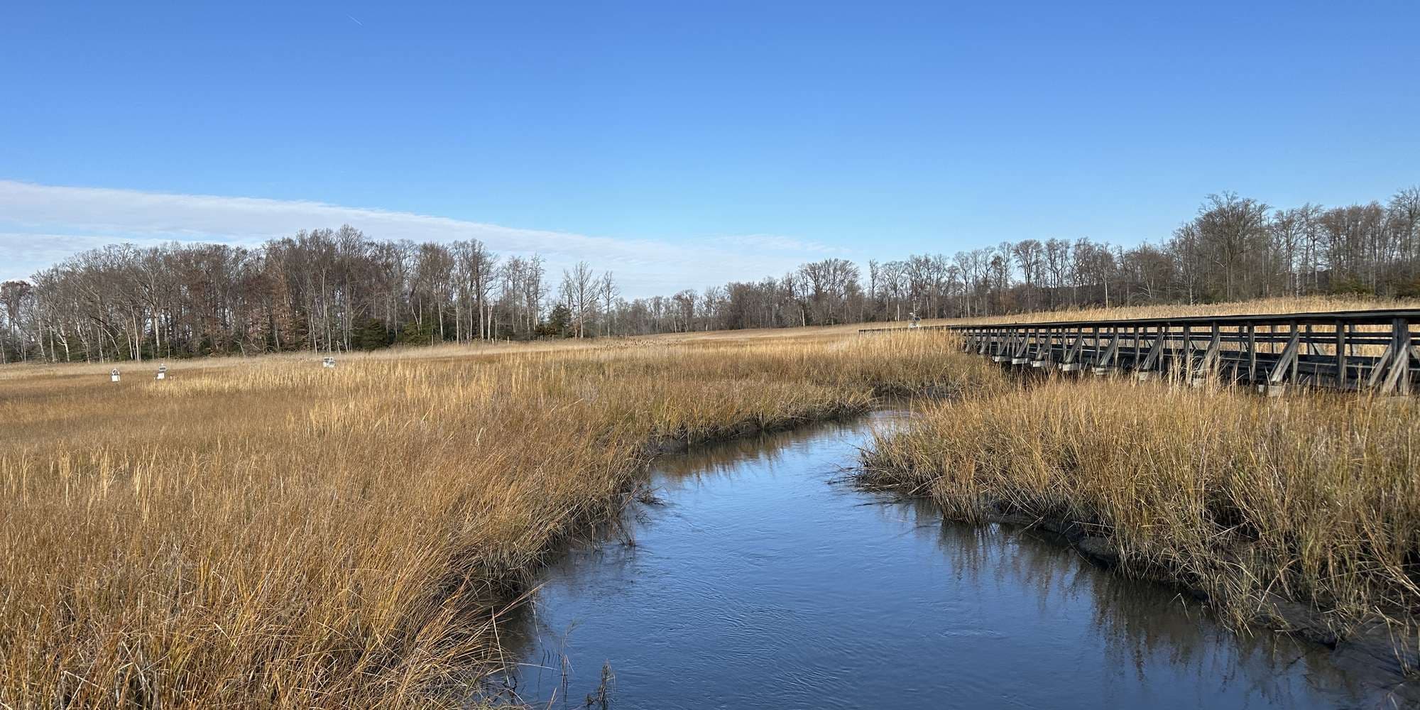 Second image to compare