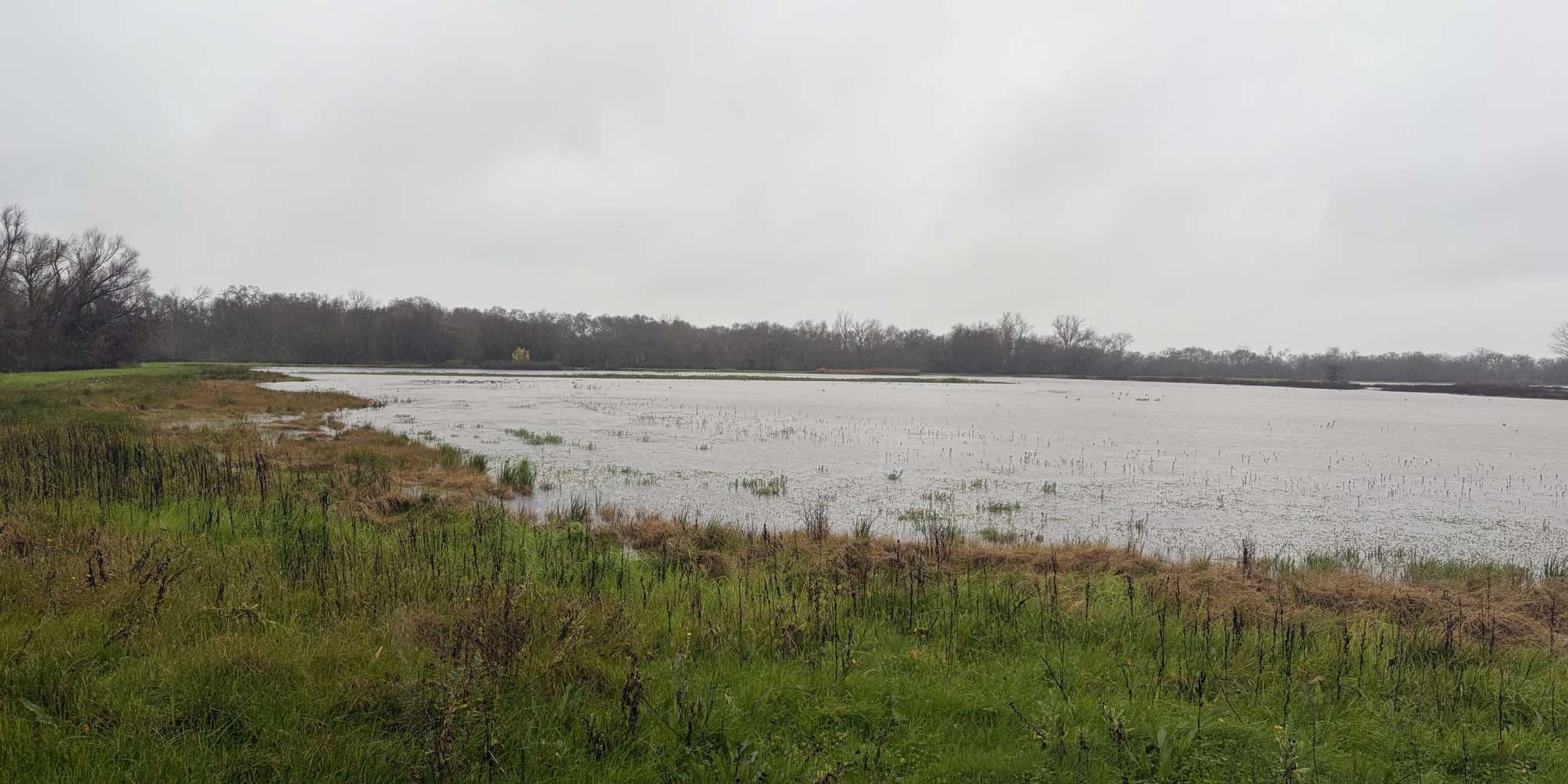 Second image to compare