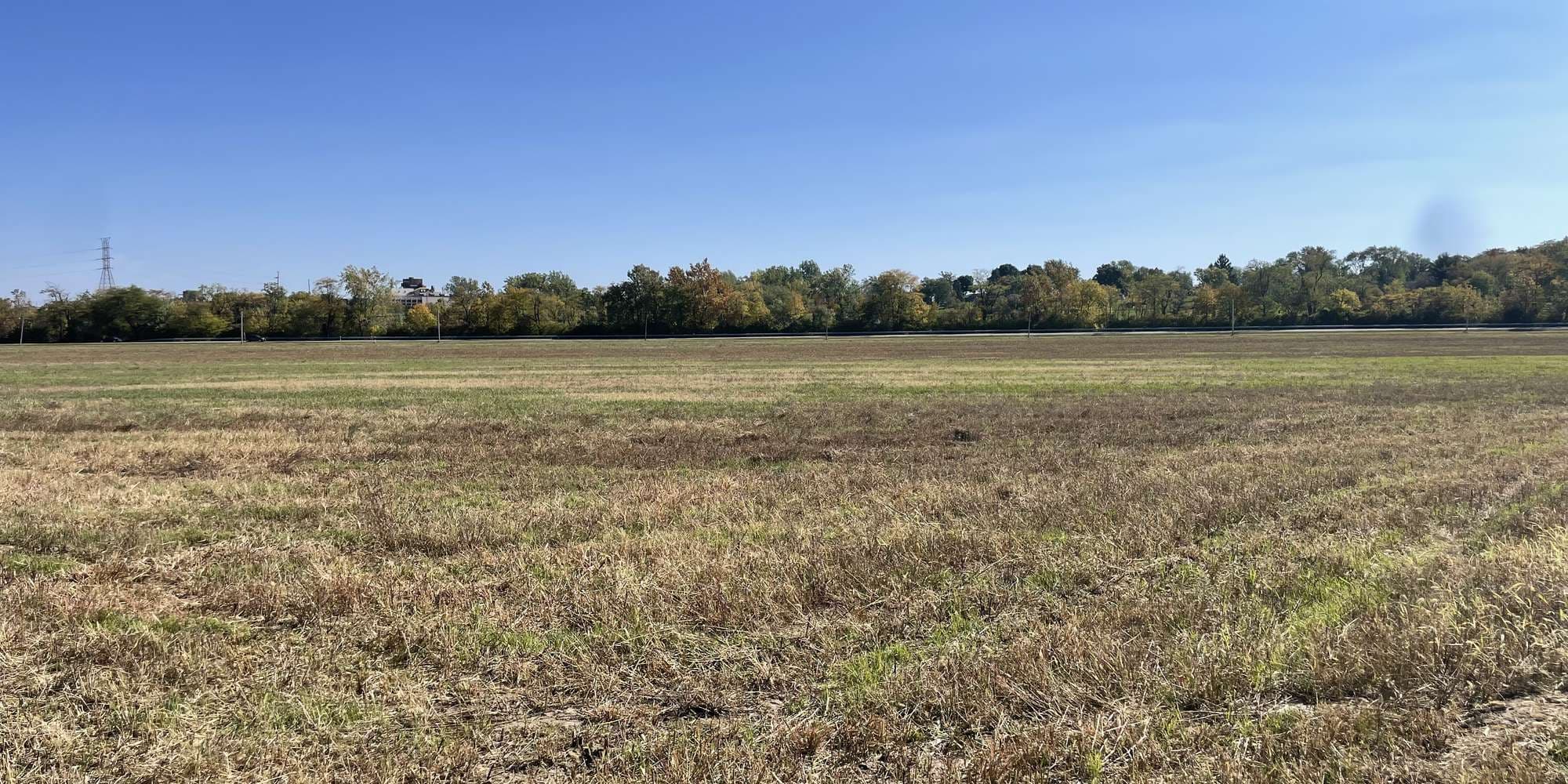 Second image to compare