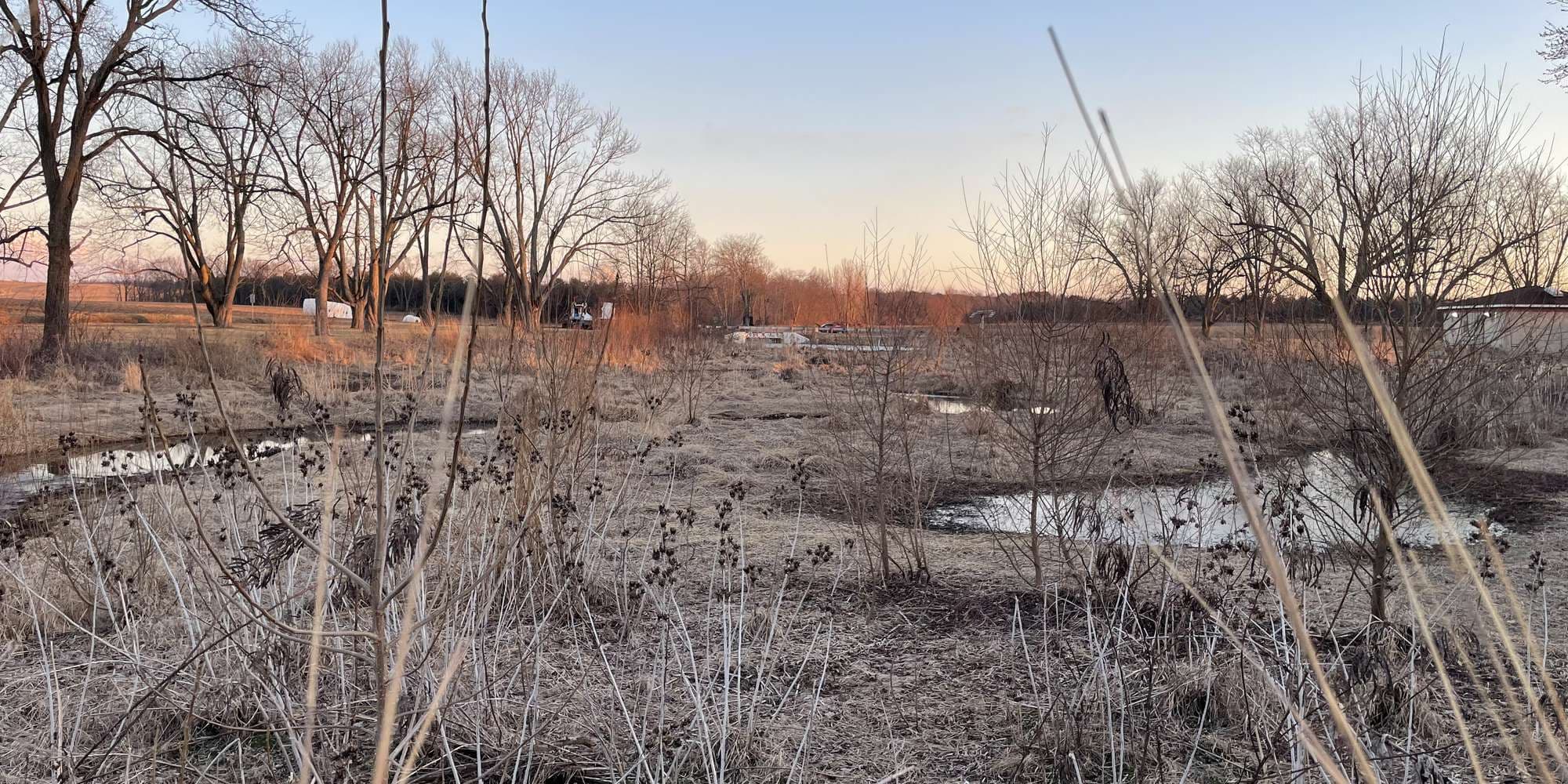 Second image to compare