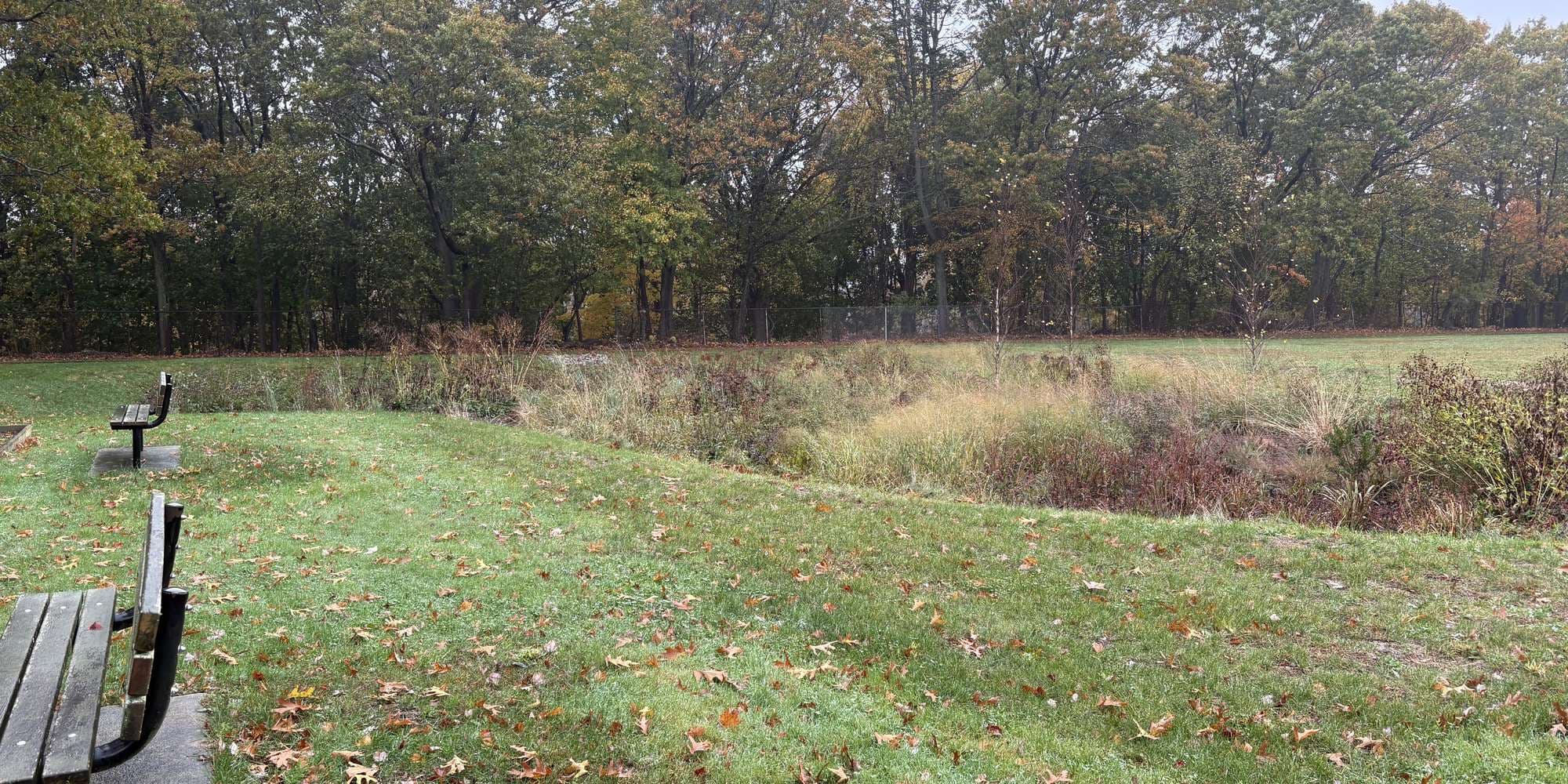 Second image to compare