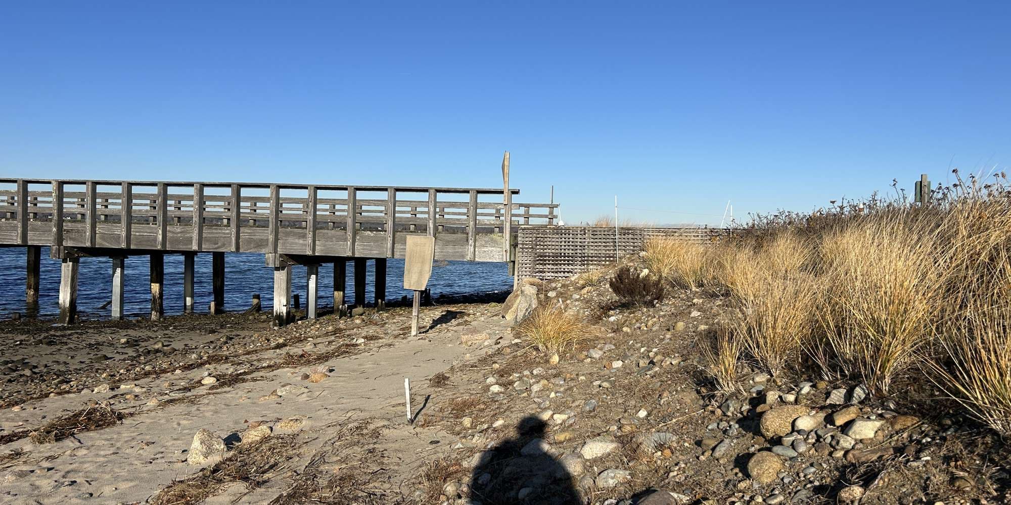 Second image to compare