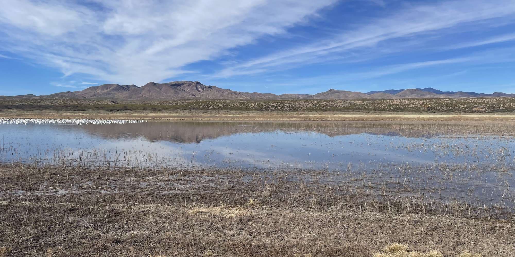 Second image to compare