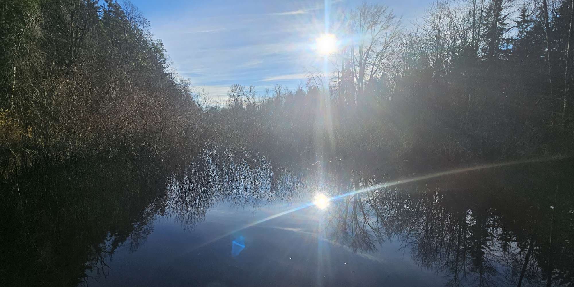 Second image to compare