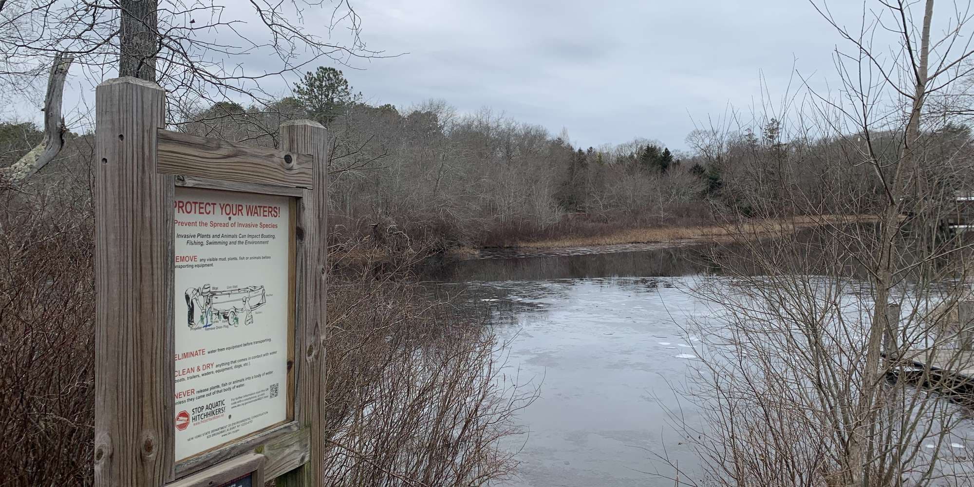 Second image to compare