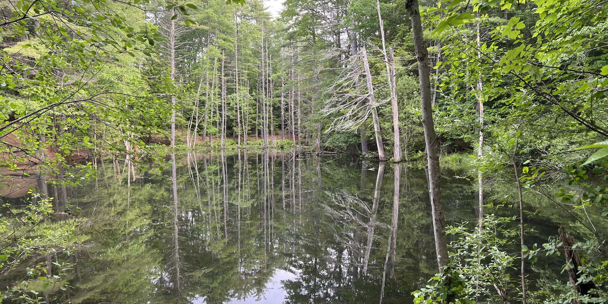 First image to compare