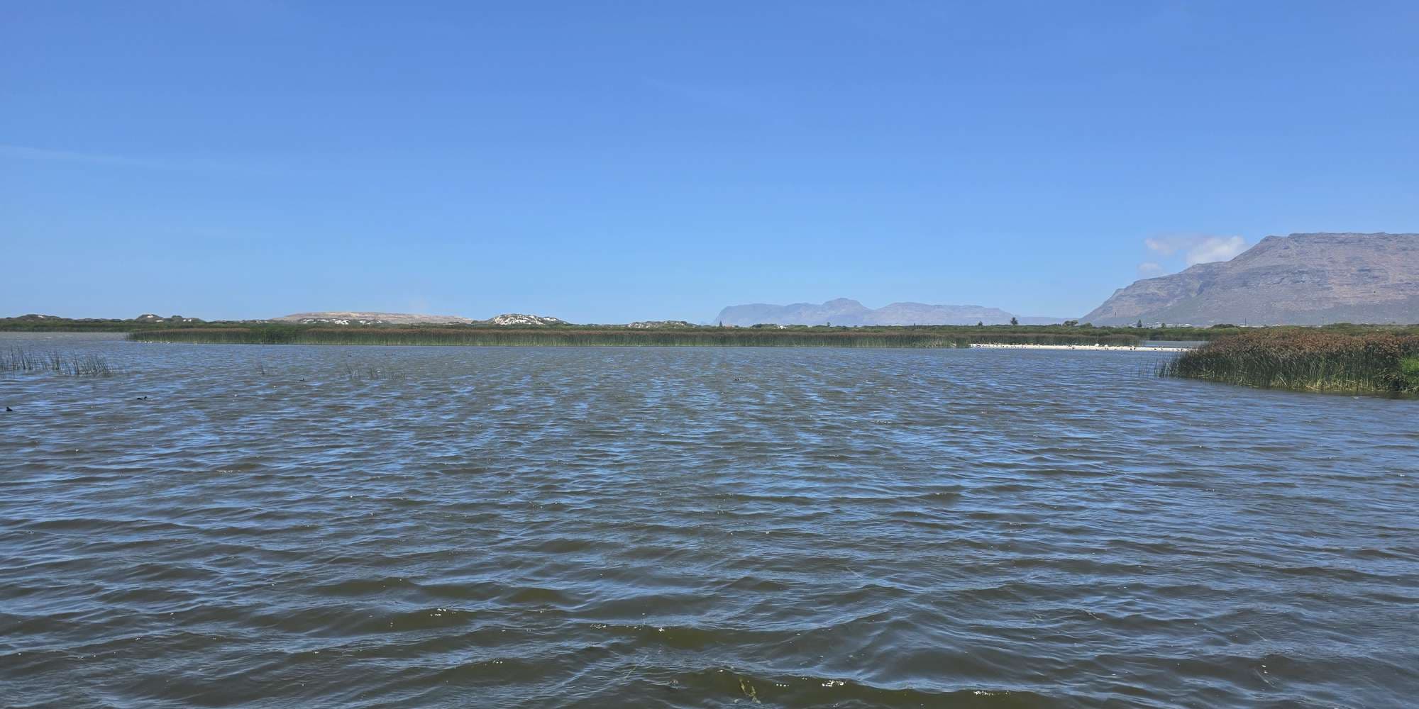 Second image to compare