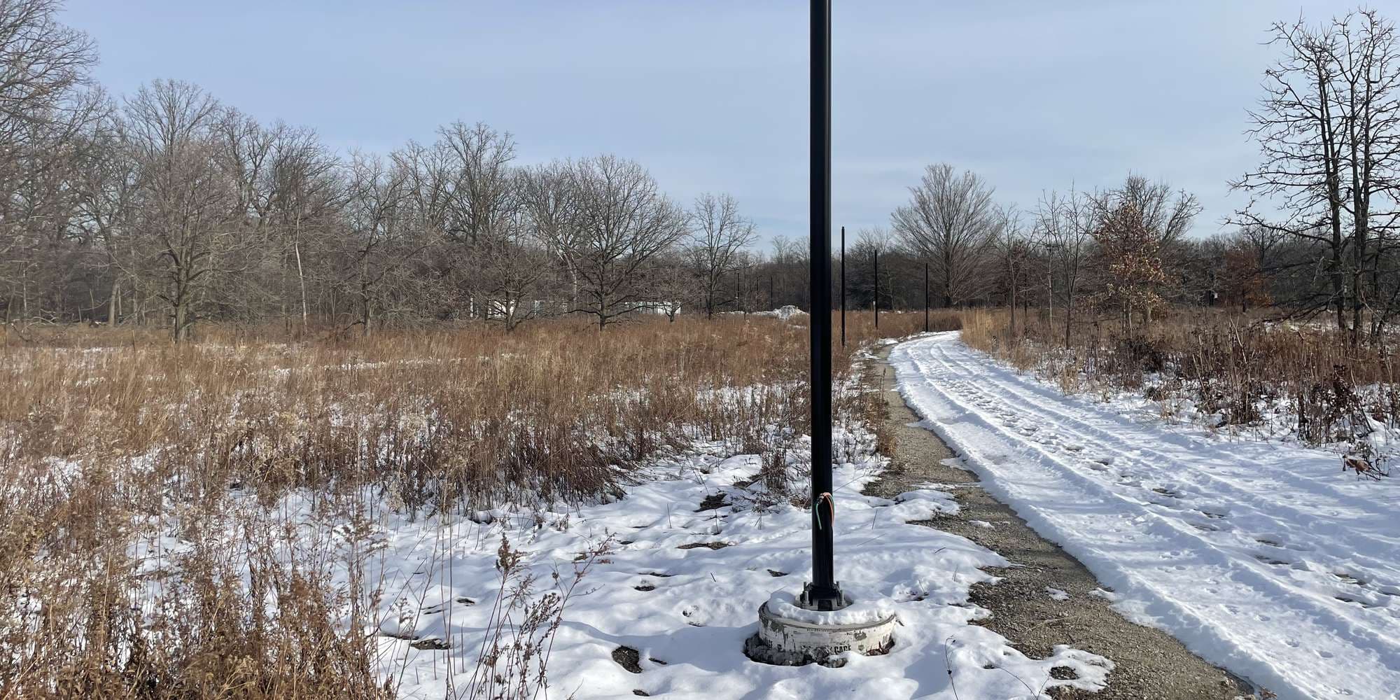 Second image to compare