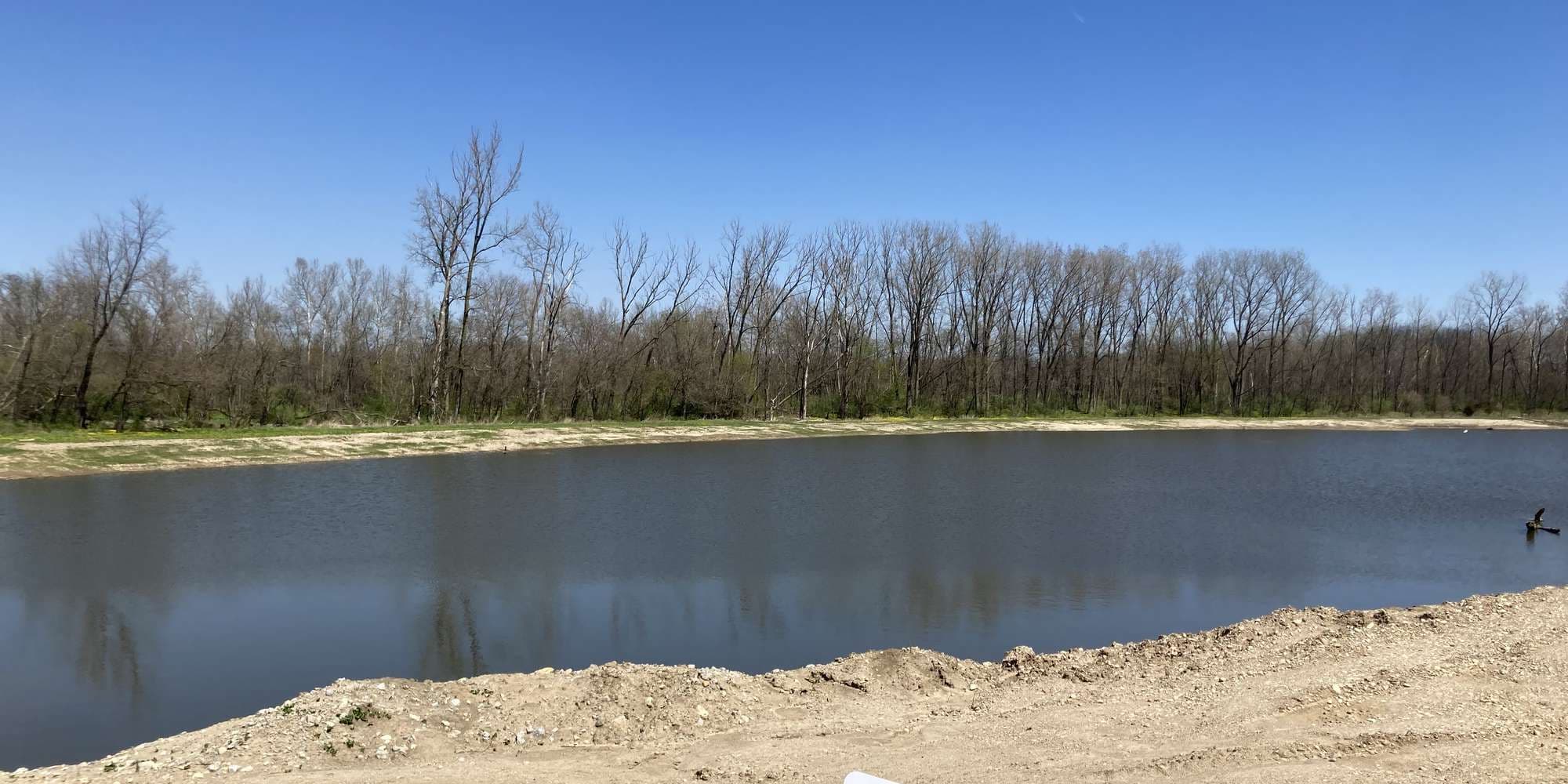 Second image to compare