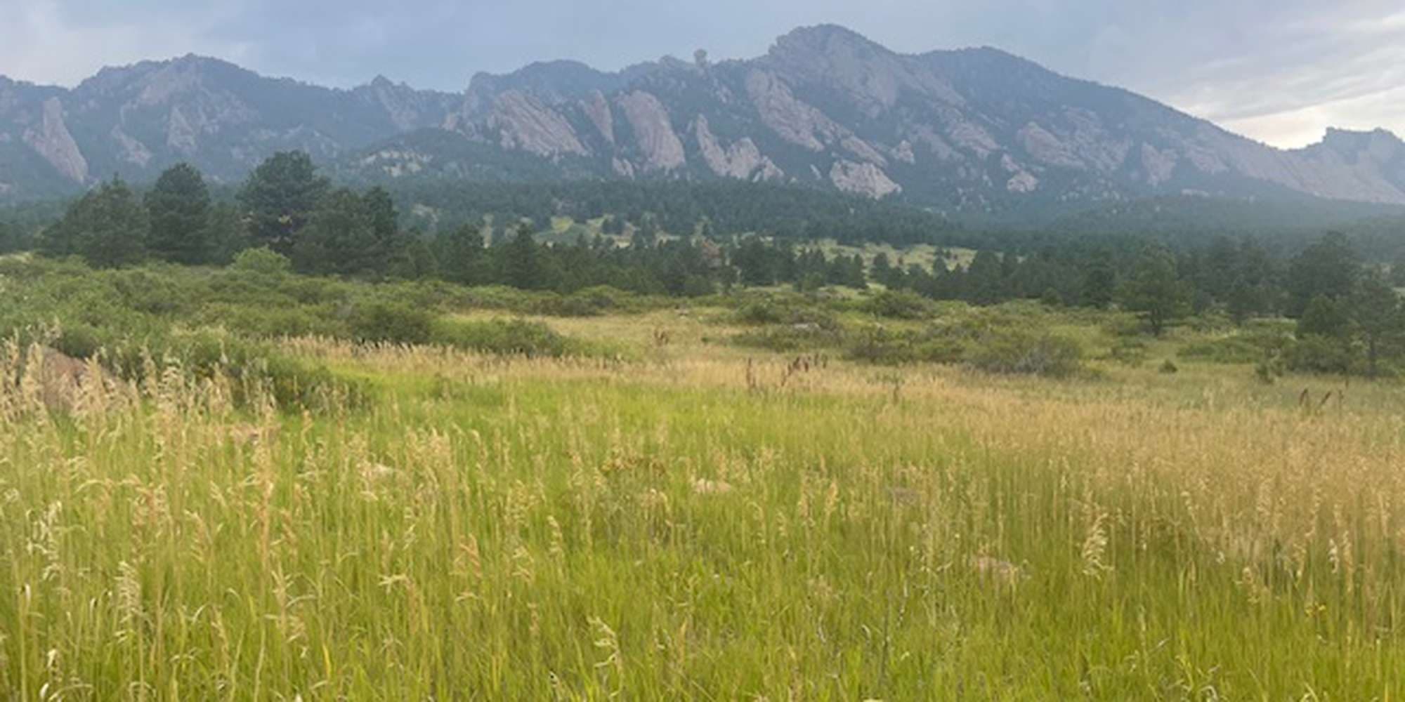 First image to compare