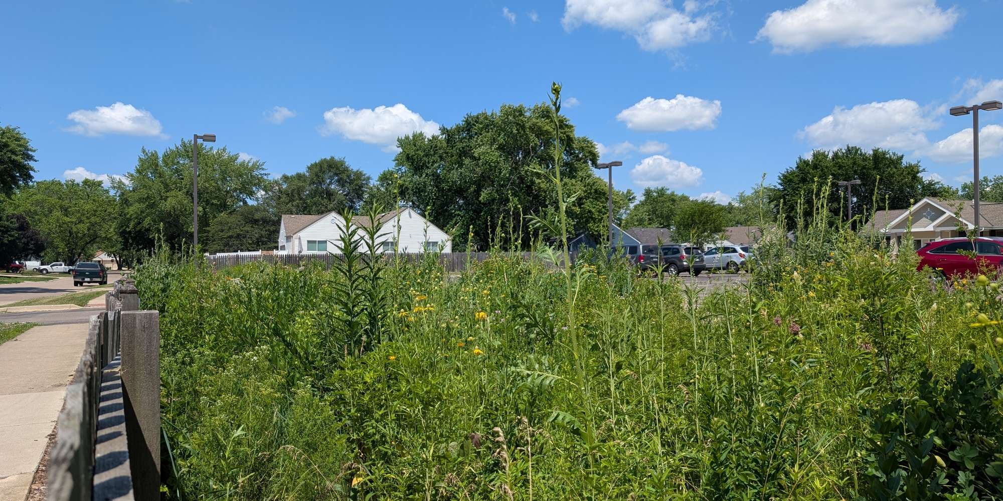 First image to compare