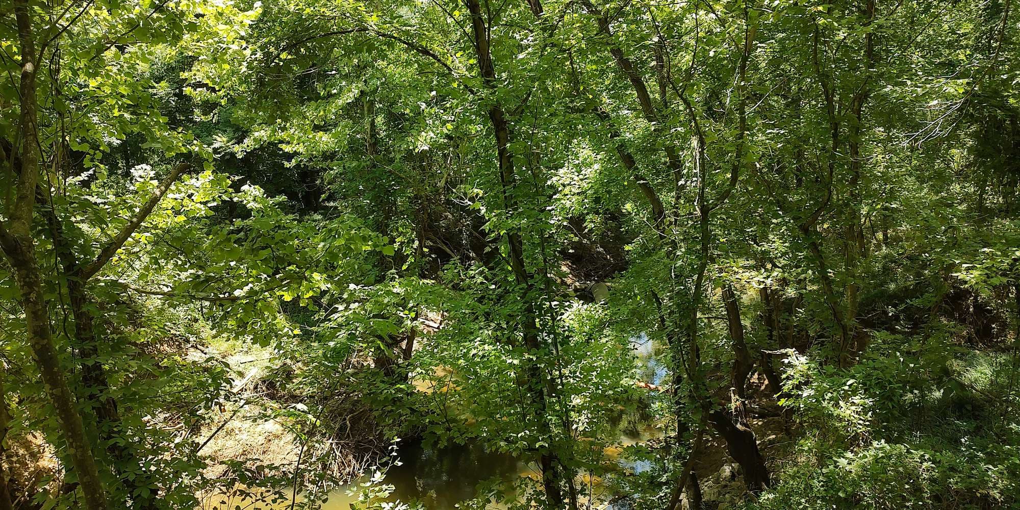 Second image to compare