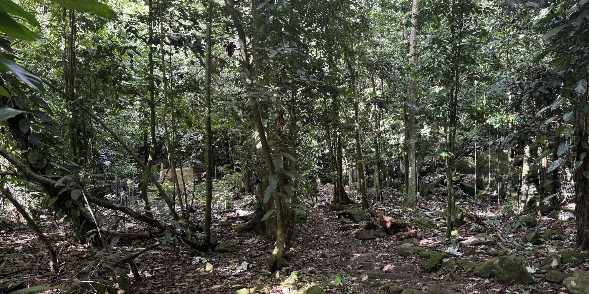 Second image to compare