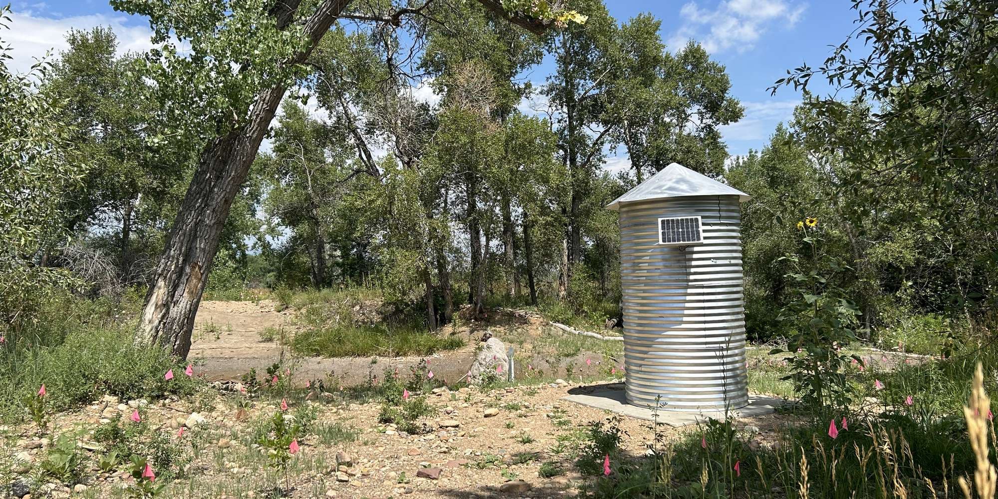 First image to compare