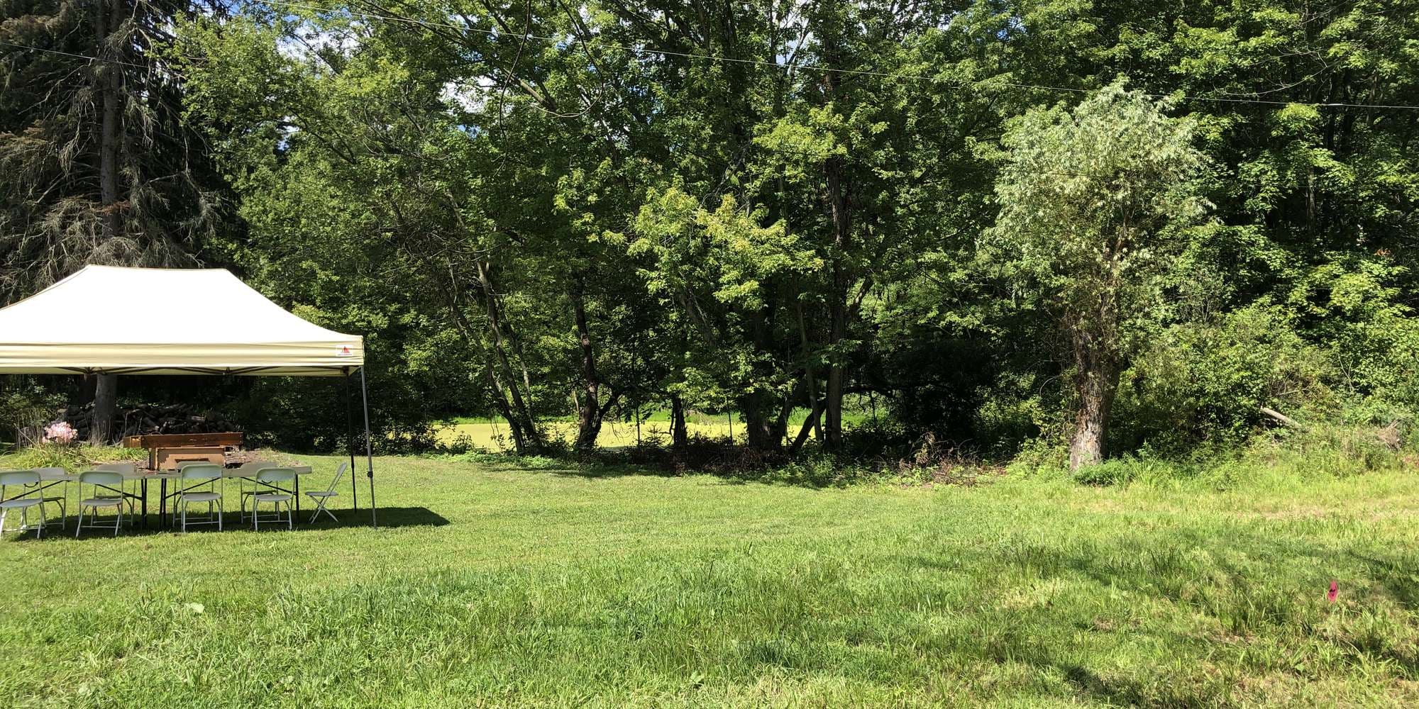 First image to compare