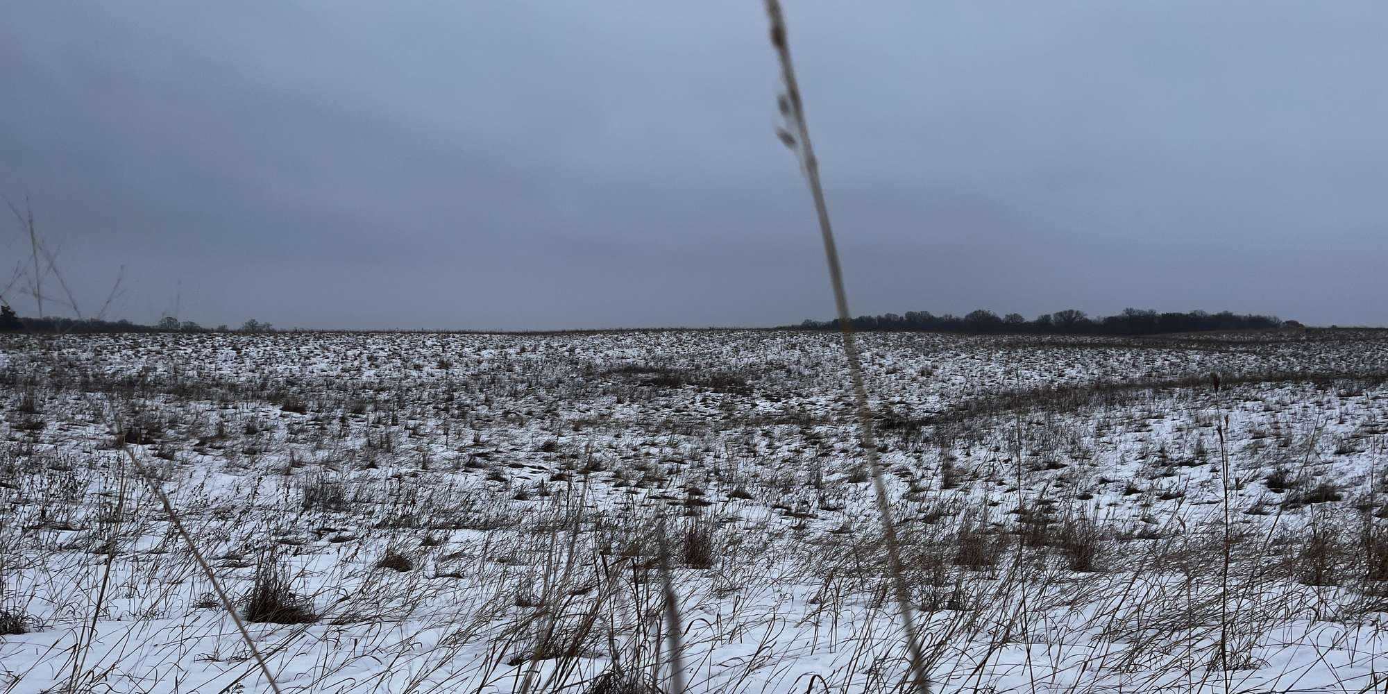 Second image to compare