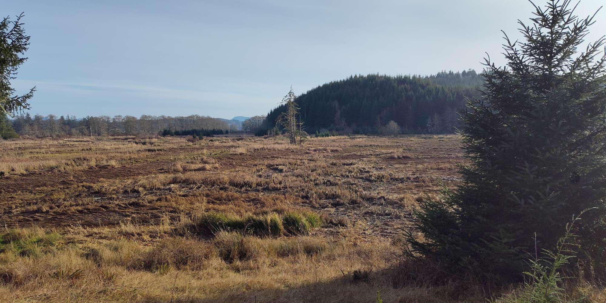 Second image to compare