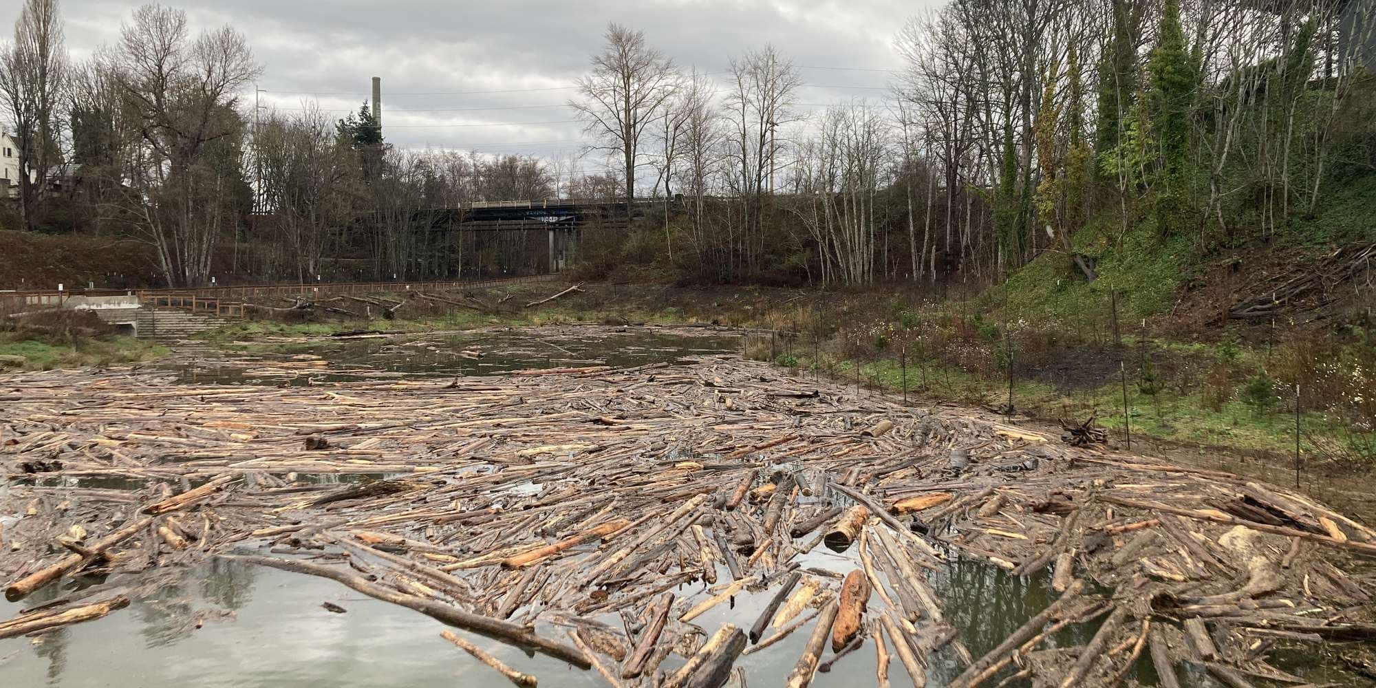 Second image to compare