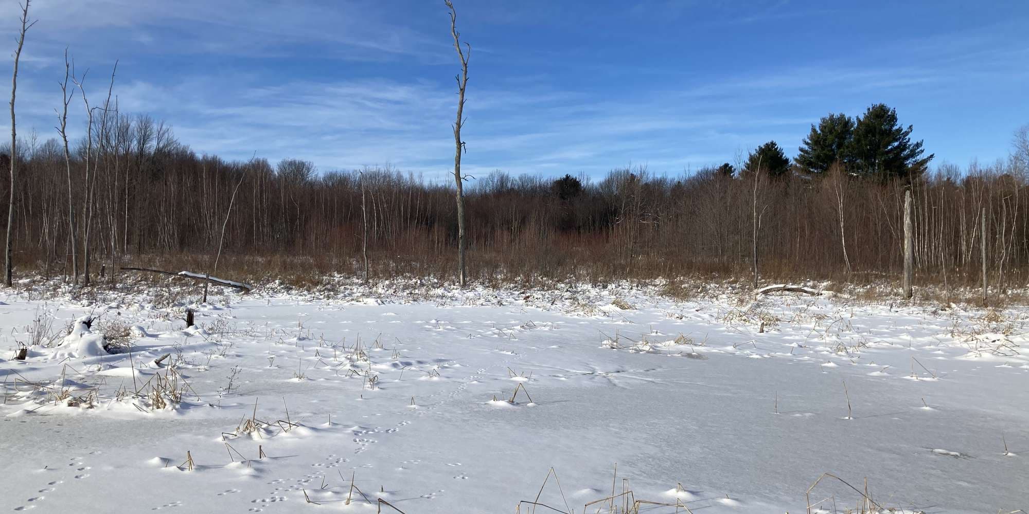 First image to compare