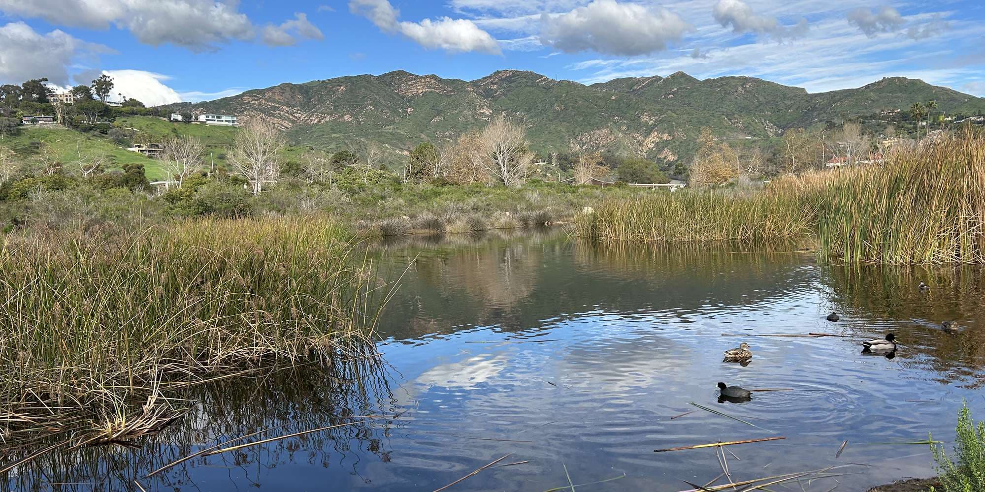 Second image to compare