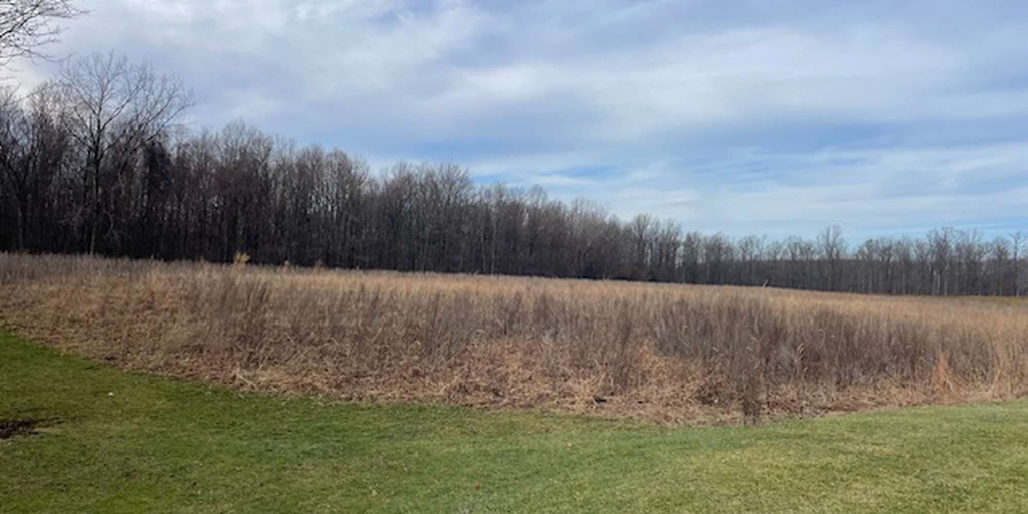 Second image to compare