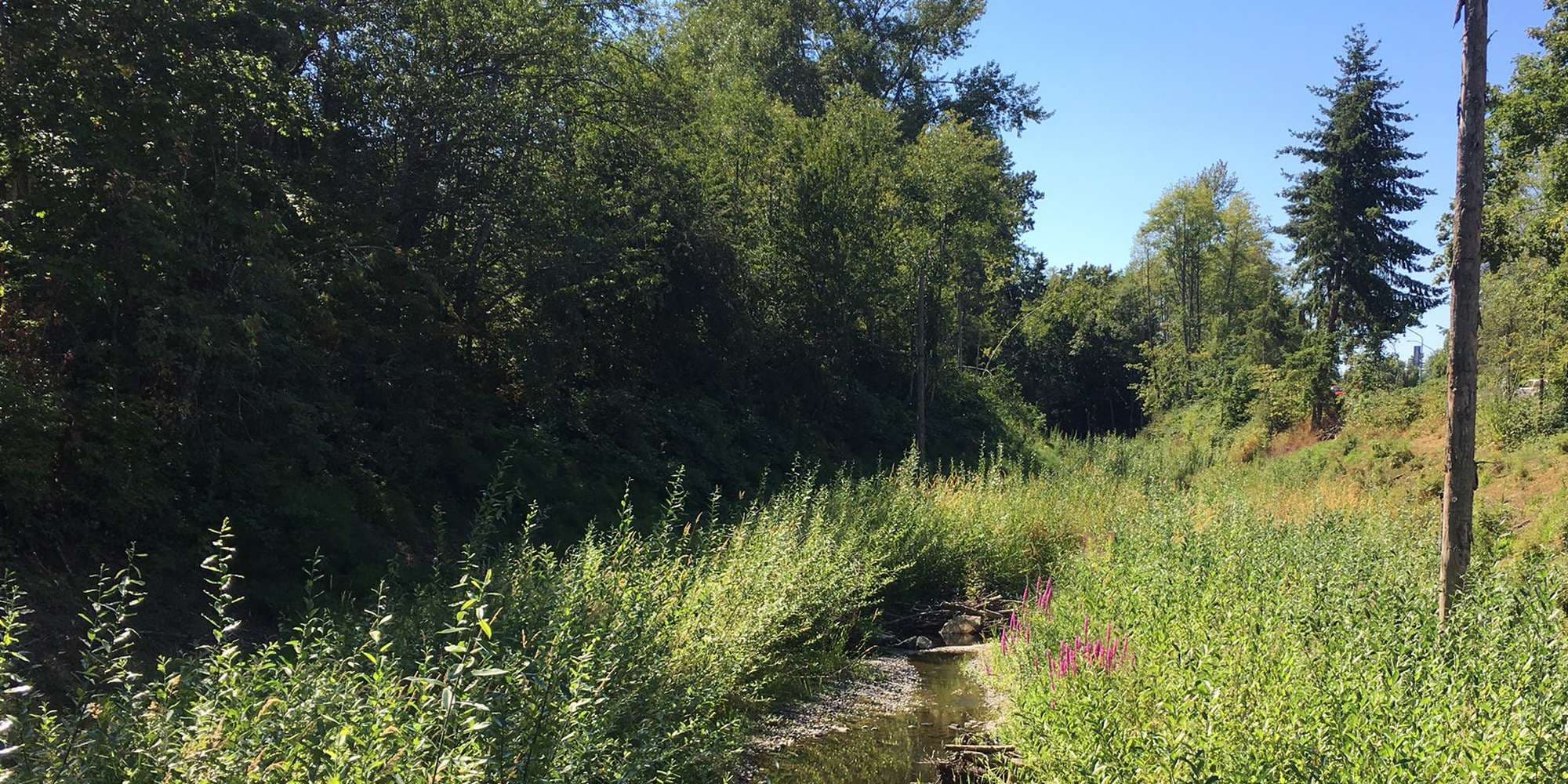 First image to compare