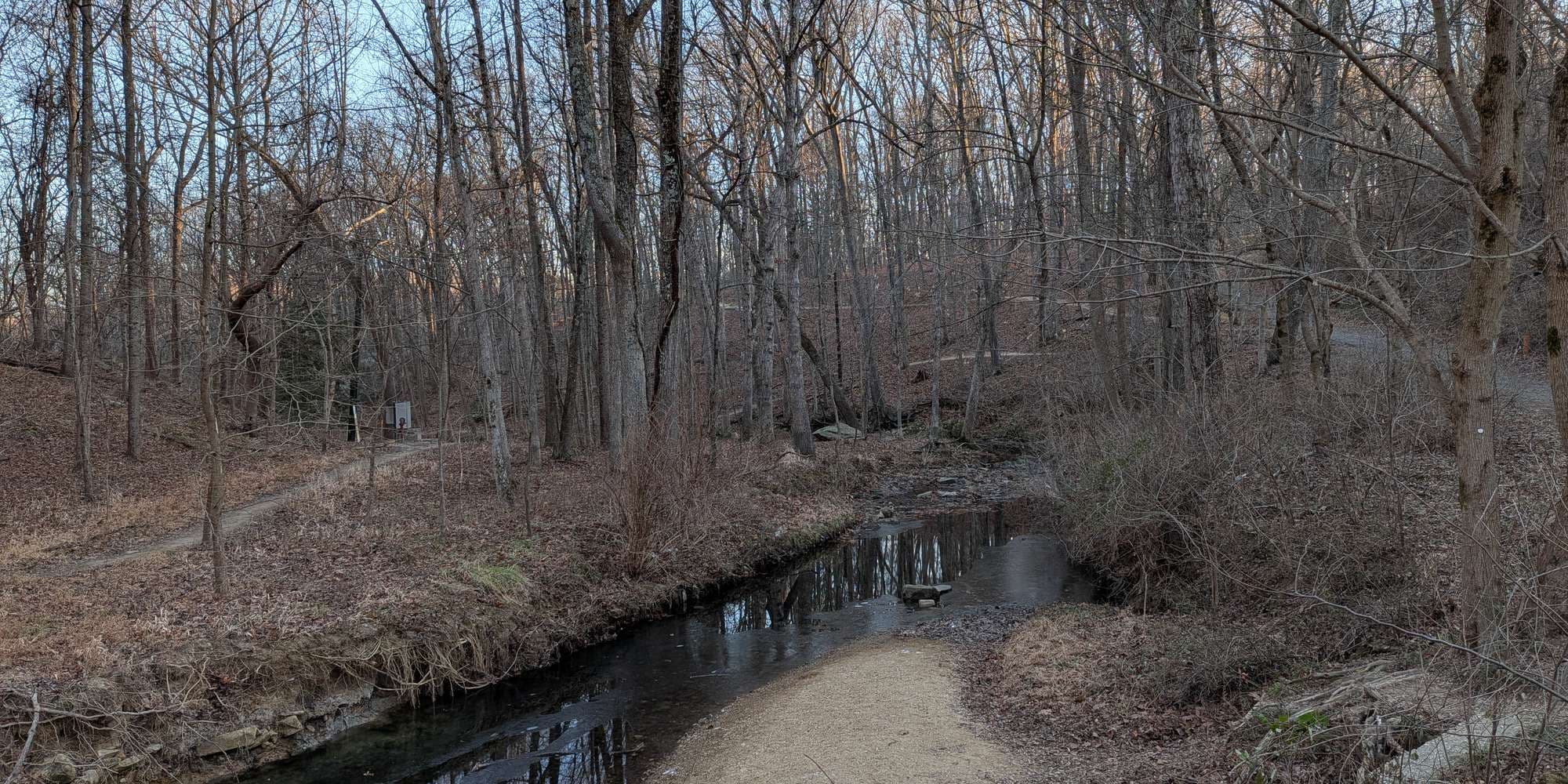 Second image to compare