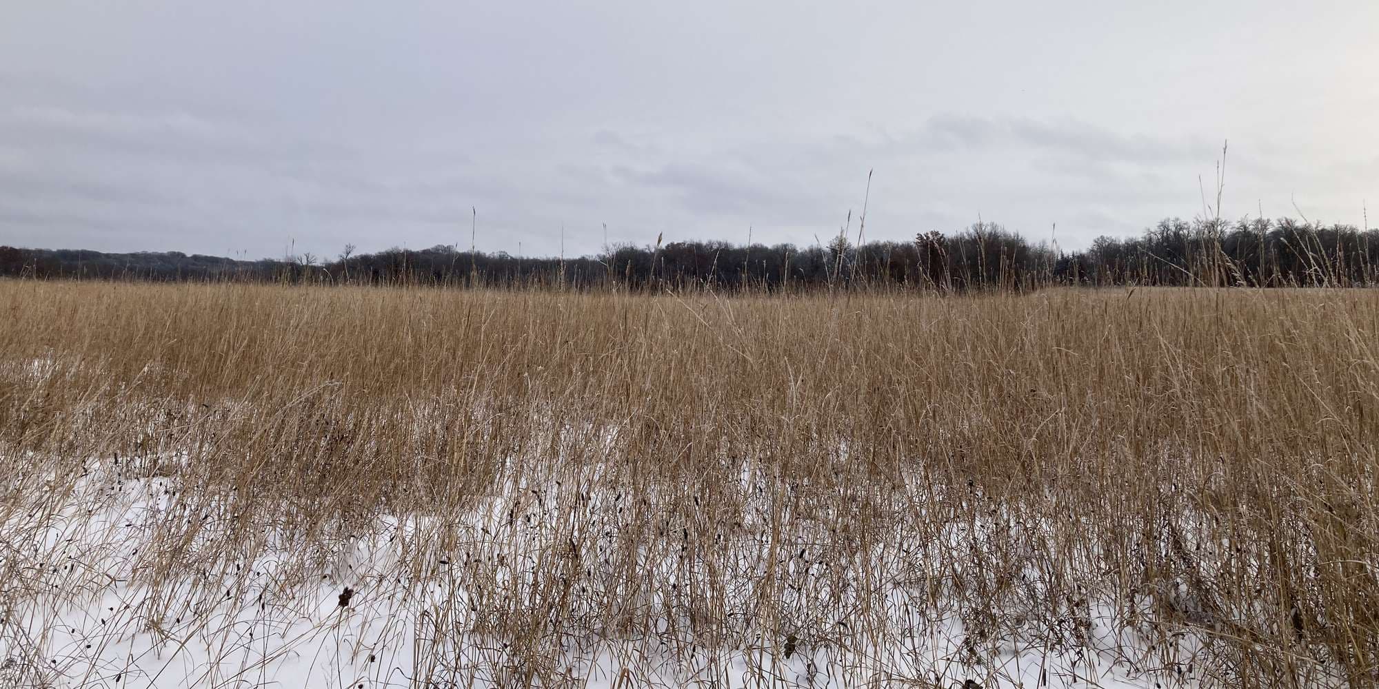 Second image to compare